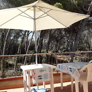 Bibbona Summer - Pineta 3 - Marina Di Bibbona